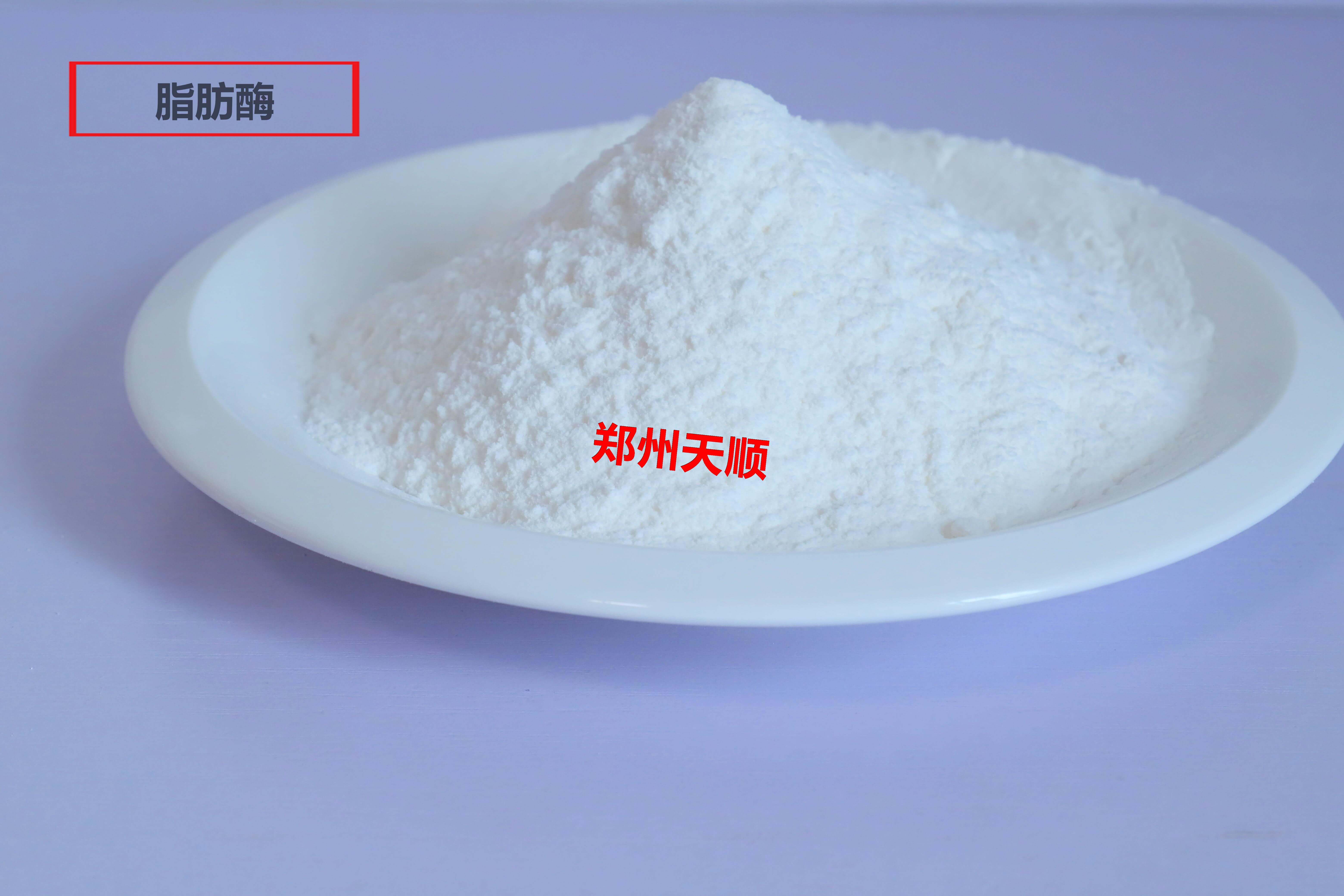 脂肪酶生產(chǎn)廠家大量批發(fā)供應(yīng)優(yōu)質(zhì)食品級(jí)脂肪酶(脂肪酶的作用和用途是什么)