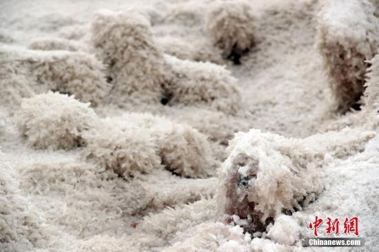 饕餮中國︱聊聊中國食品添加劑的歷史