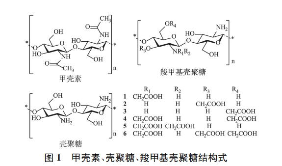 葉酸修飾殼聚糖在腫瘤靶向制劑中的研究進(jìn)展（一）