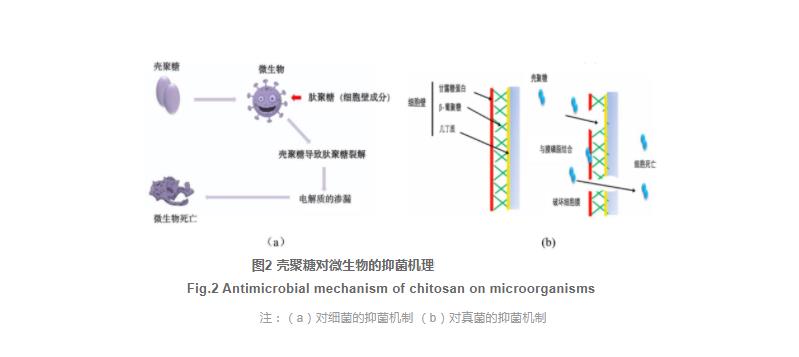 殼聚糖與生物保鮮劑復(fù)合使用在水產(chǎn)品保鮮中的研究進(jìn)展（一）