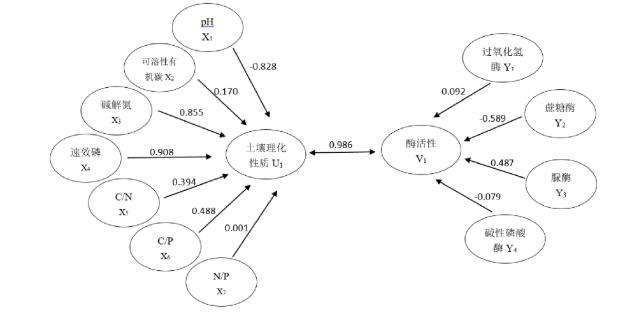 蘭州百合連作土壤碳氮磷化學(xué)計(jì)量特征及酶活性研究（二）