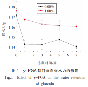 γ-聚谷氨酸對(duì)凍藏谷蛋白水合及結(jié)構(gòu)的影響（一）