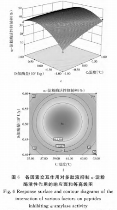 響應(yīng)面法酶解藜麥蛋白制備α-淀粉酶抑制肽的工藝研究（三）