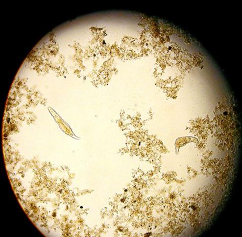 化妝品中的防腐劑你知道多少？