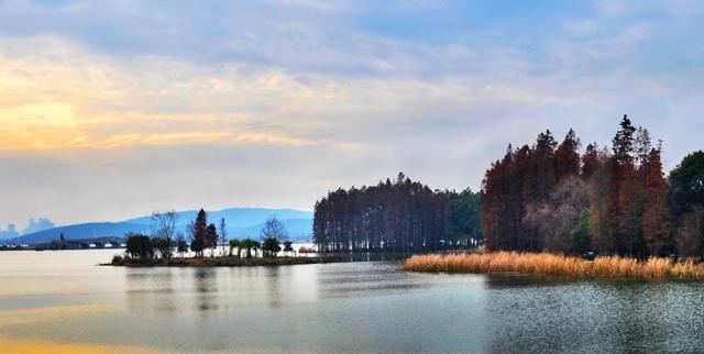 釀酒與調味品賽道研究（2021-7-24）