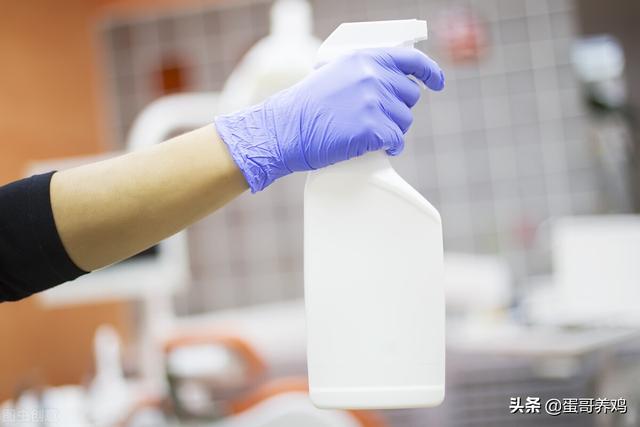 雞場(chǎng)消毒3大法寶，養(yǎng)雞高手這樣用，幾塊錢解決致病菌，省錢好用