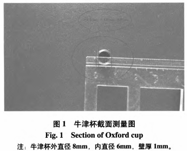 次磷酸鈉對肉制品中肉毒梭狀芽孢桿菌(生孢梭菌)的抑制效果研究（一）