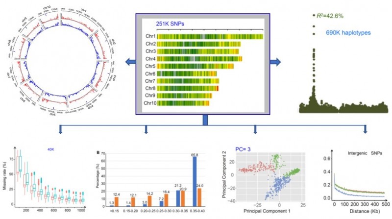 突破瓶頸——我科學(xué)家開(kāi)發(fā)高密度液相生物芯片