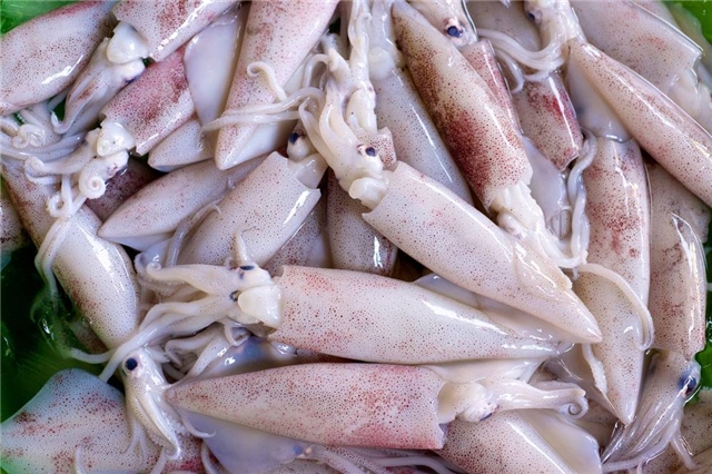 魷魚脫皮酶（魷魚去皮酶 魷魚脫皮劑）