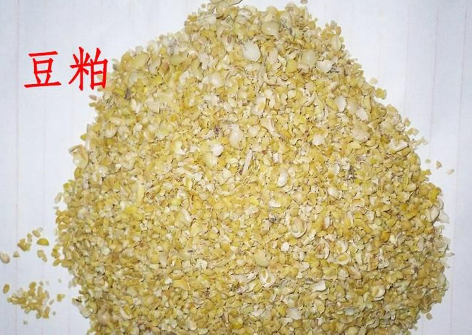 高低溫豆粕水解酶的作用及使用范圍