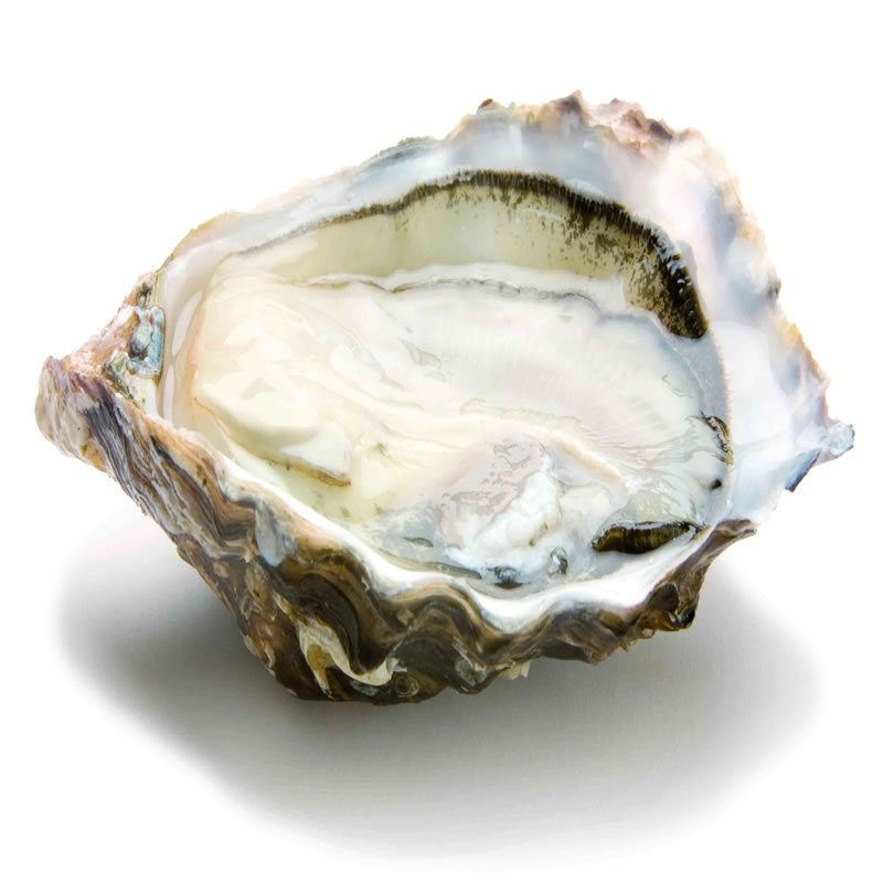 蛋白肽與男性功能有哪些關(guān)聯(lián)？