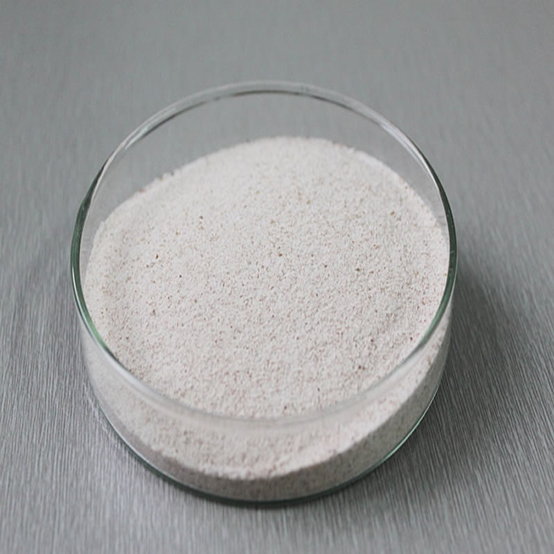 如何水解小麥蛋白？