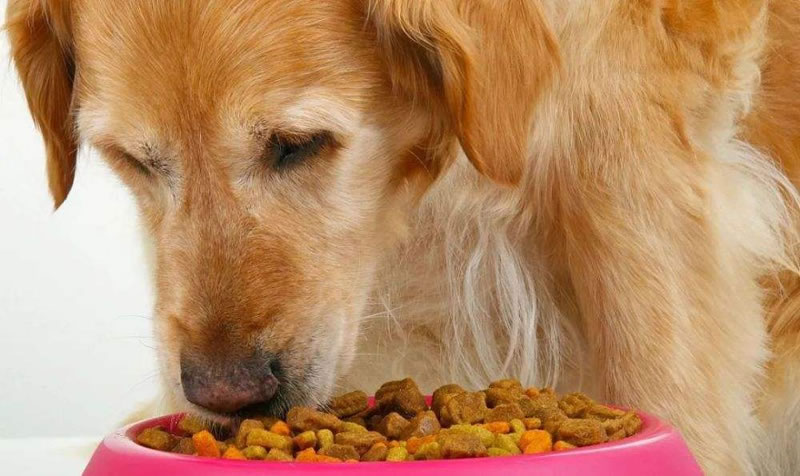 如何酶解雞肝粉生產(chǎn)熱反應(yīng)型寵物誘食劑？