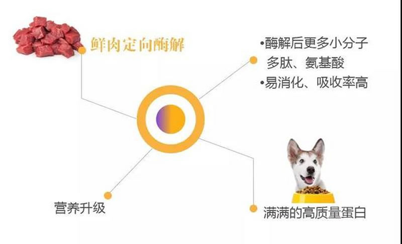 如何利用鮮肉酶解技術水解牛肉生產(chǎn)寵物誘食劑？