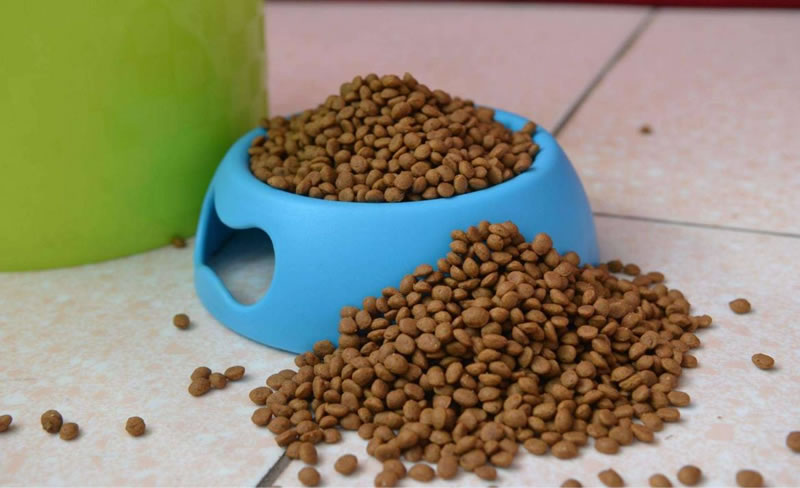 木瓜蛋白酶解牛肉制備寵物誘食劑，為什么口感苦？