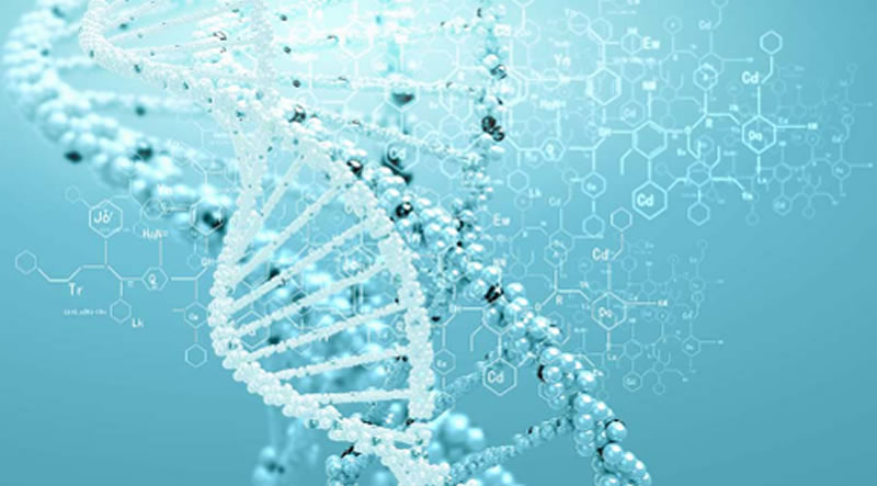 酶解法水解雞肝寵物誘食劑用什么酶好？