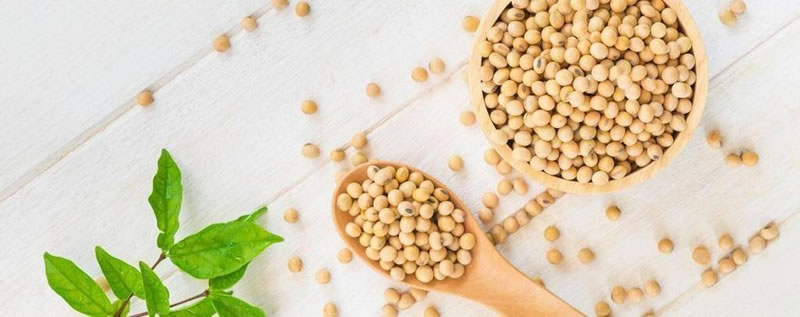 為什么酶解大豆蛋白制備大豆肽口感是苦的？如何解決？