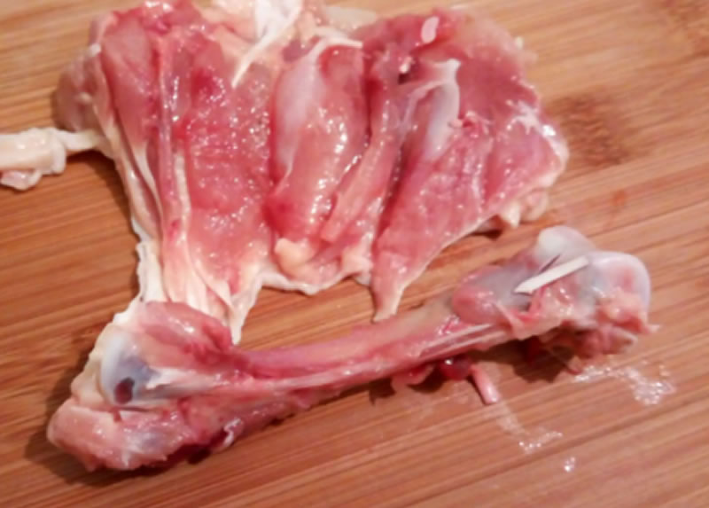 酶解雞腿骨制備硫酸軟骨素用什么酶？