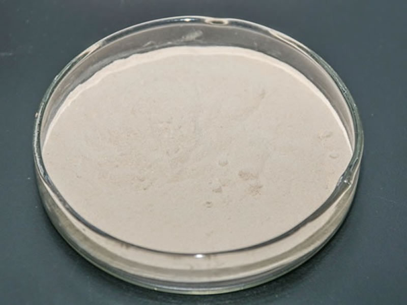 大豆蛋白如何酶解生產(chǎn)植物蛋白飲料？