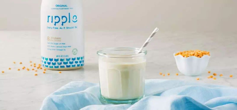 豌豆生產(chǎn)植物蛋白飲品需要多長時間？