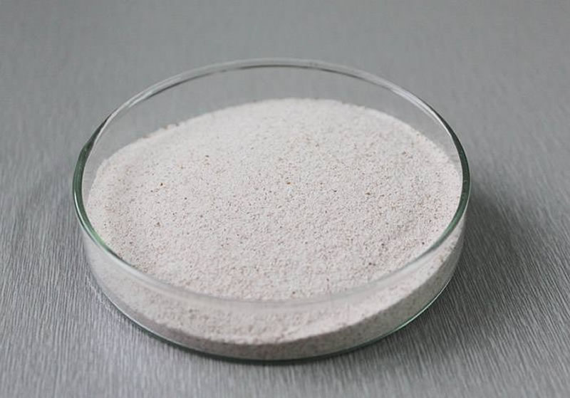 堿性蛋白酶在生產(chǎn)生活中的應(yīng)用有哪些？