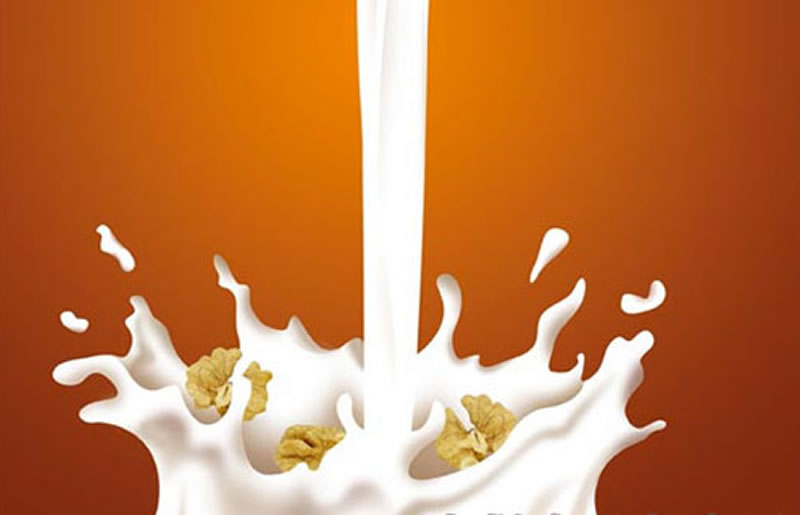 植物蛋白飲料蛋白質(zhì)改性方法有哪些？