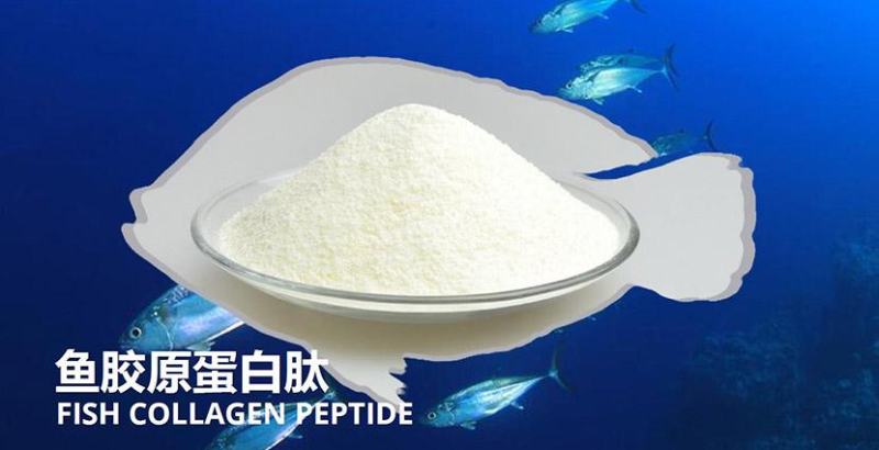 鱈魚如何酶解提取魚皮膠原蛋白？