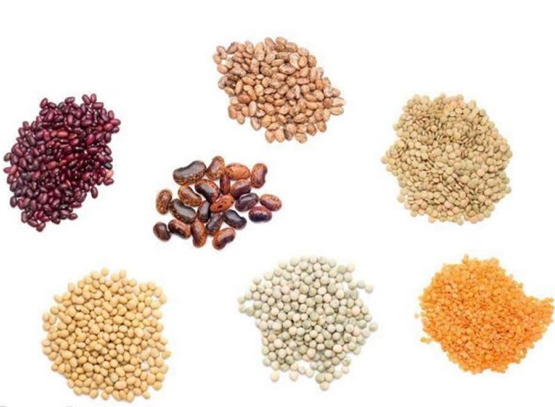 酶解技術生產(chǎn)植物蛋白改性